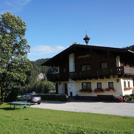 Gastehaus Soldanella Otel Ramsau am Dachstein Dış mekan fotoğraf